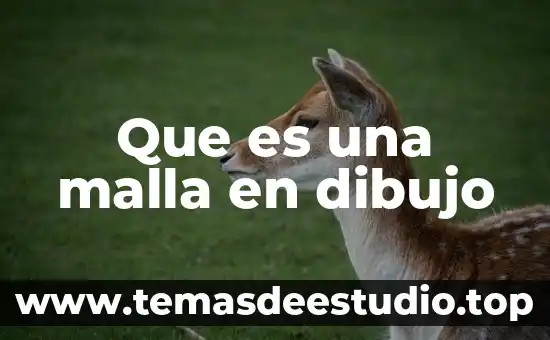 Que es una malla en dibujo