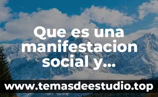 Que es la realidad psicologia social 6 Que es una manifestacion social y ejemplos en campeche