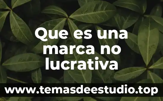 Que es internacionalizar una marca 3 Que es una marca no lucrativa