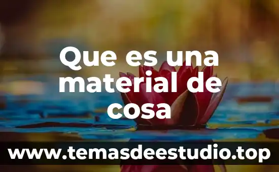 Qué es la justicia formal material y social 5 Que es una material de cosa