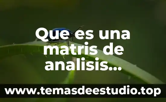 Análisis de requisitos de software que es 4 Que es una matris de analisis causa-efecto