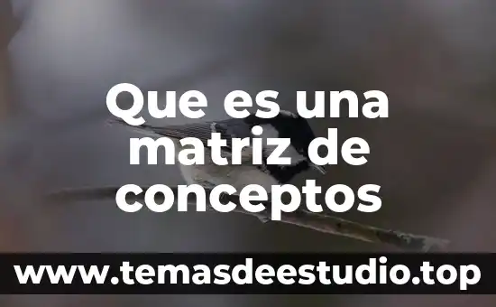 Que es la construcción de conceptos 6 Que es una matriz de conceptos
