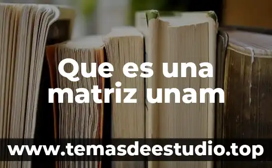Feria del empleo unam que es 6 Que es una matriz unam