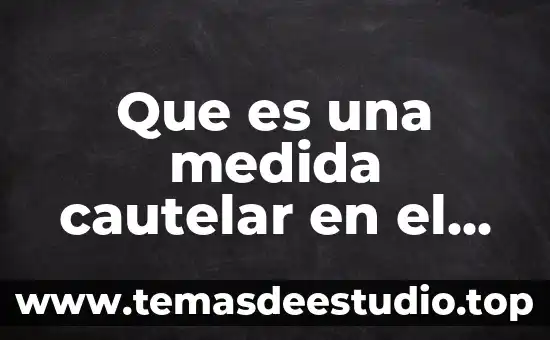 Que es el gravamen procesal civil 7 Que es una medida cautelar en el derecho procesal civil