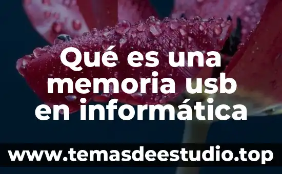 Que es una señal en informatica 4 Qué es una memoria usb en informática