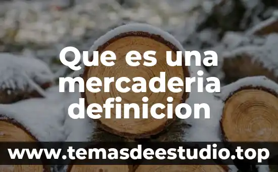 Que es una mercaderia definicion