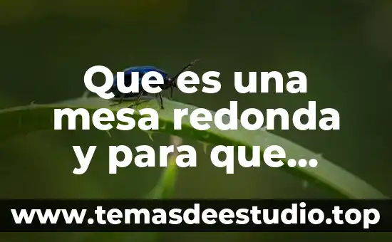 Que es una mesa redonda cuales son sus caracteristicas 4 Que es una mesa redonda y para que funciona