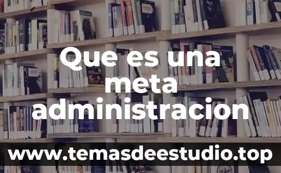 Que es una meta administracion