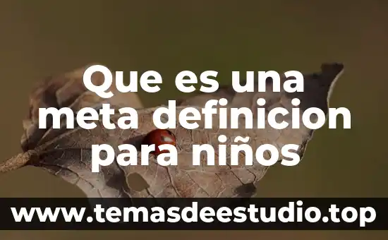 Que es una meta definicion para niños