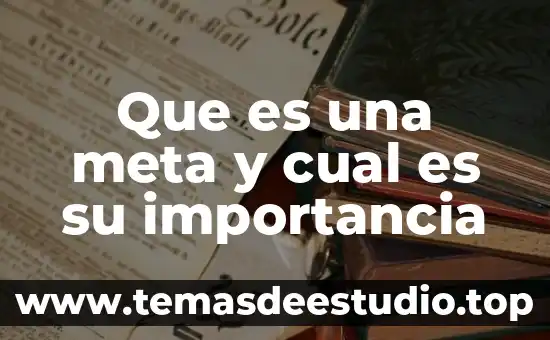 Que es el guardabarros cual es su nombre en mexico 8 Que es una meta y cual es su importancia