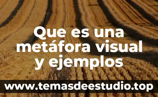 Motricidad visual niños que es 3 Que es una metáfora visual y ejemplos