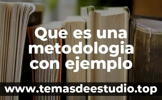 Metodología que es actividades 8 Que es una metodologia con ejemplo