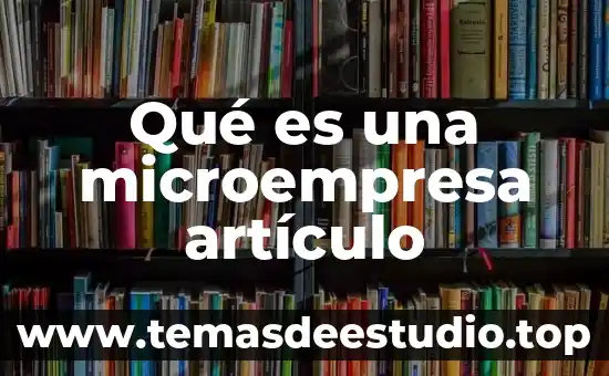 Qué es el liberalismo en relaciones internacionales 8 Qué es una microempresa artículo