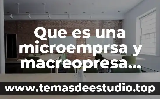 Que es una microemprsa y macreopresa ejemplos
