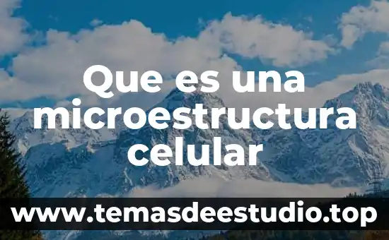 Googldese que es la estrella en el celular 4 Que es una microestructura celular