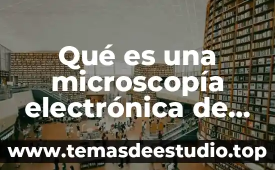 Es sol que es 5 Qué es una microscopía electrónica de barrido