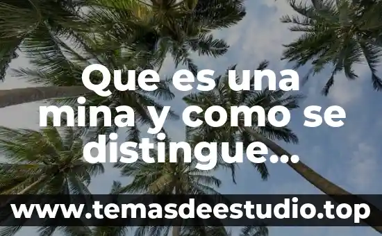 Qué es símbolo de la materia de formación 3 Que es una mina y como se distingue materia español