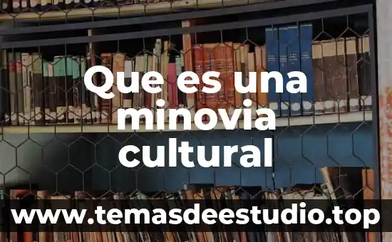 Que es patrimonio cultural de la nacion 4 Que es una minovia cultural