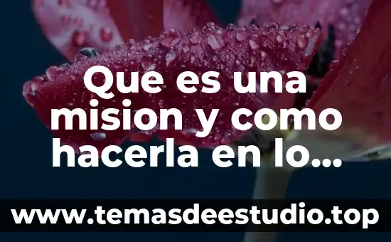 Qué es la misión visión y valores 7 Que es una mision y como hacerla en lo personal