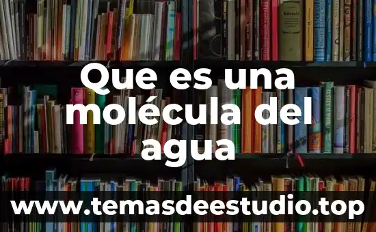 Que es movimiento historico 5 Que es una molécula del agua