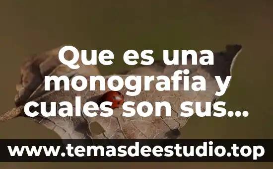 Que es una monografia y cuales son sus principales caracteristicas