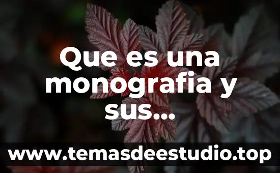 Que es una monografia y sus caracteristicas ejemplos