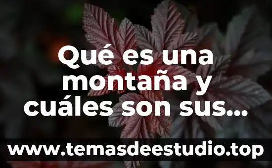 Que es el estoisismo griego y cuales son sus características 6 Qué es una montaña y cuáles son sus partes