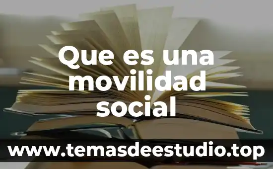 Concepto que es social 6 Que es una movilidad social