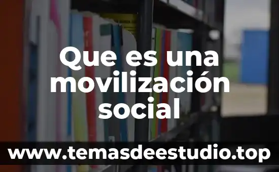 Que es vida social 3 Que es una movilización social