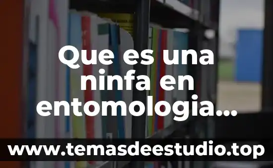 Qué es un esfuerzo mecánico definición 7 Que es una ninfa en entomologia definicion