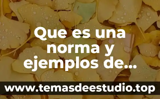 Que es definición ejemplos 6 Que es una norma y ejemplos de ellas en casa