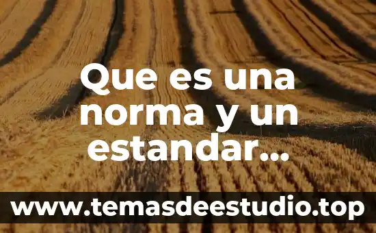 Que es historia conceptos de autor 7 Que es una norma y un estandar software