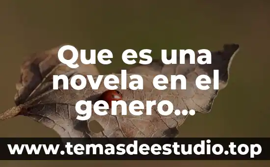Que es una novela en el genero narrativo
