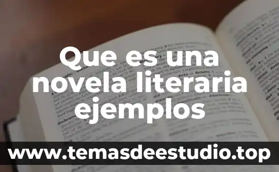 Que es una novela literaria ejemplos