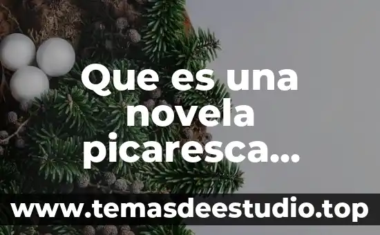 Que es una novela picaresca caracteristicas