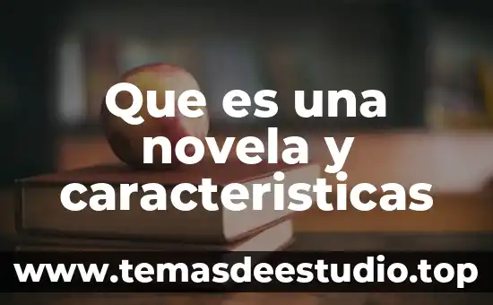 Estudio del sitio arquitectura que es 6 Que es una novela y caracteristicas