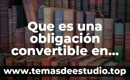 Que es la forma de la obligación 6 Que es una obligación convertible en acciones