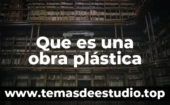 Que es una obra plástica