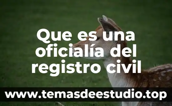 Que es una oficialía del registro civil