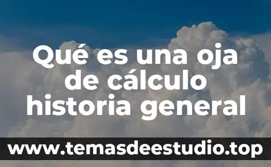 Qué es una oja de cálculo historia general