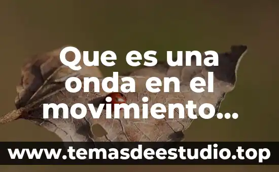 Qué es el movimiento ondulatorio concepto en física 4 Que es una onda en el movimiento ondulatorio