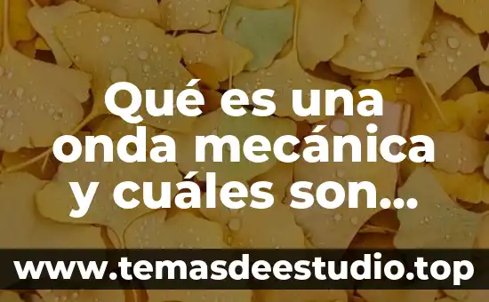 Que es el signo linguistico y cuales son sus caracteristicas 6 Qué es una onda mecánica y cuáles son sus características