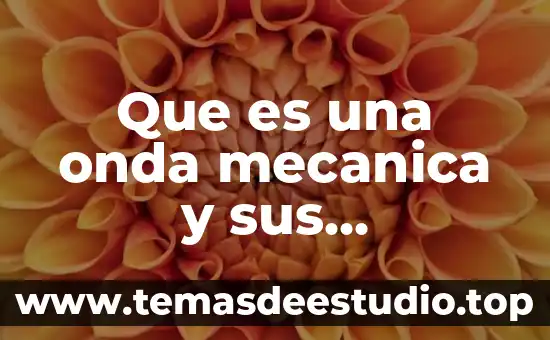 Qué es el número de vibraciones de una onda 5 Que es una onda mecanica y sus caracteristicas