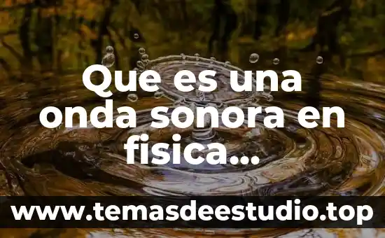 Actividad secundaria que es 4 Que es una onda sonora en fisica secundaria