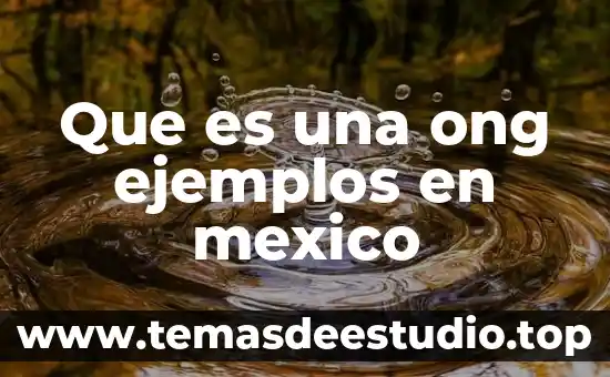 Que es una ong ejemplos en mexico