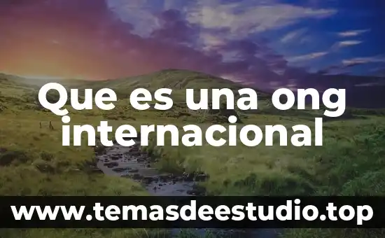 Que es una ong internacional