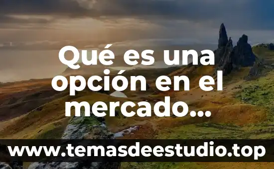 Que es el monto en termino financiero 3 Qué es una opción en el mercado financiero
