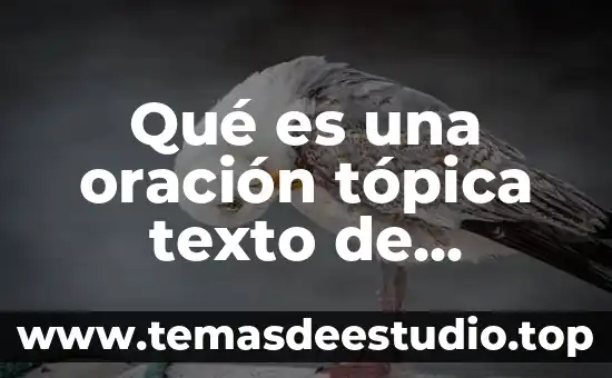 Que es la oración de yuxtapuestas y ejemplos 3 Qué es una oración tópica texto de ejemplos