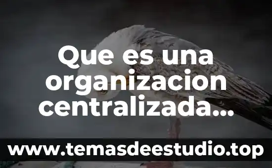 Qué es un patio de maniobras en arquitectura 7 Que es una organizacion centralizada arquitectura