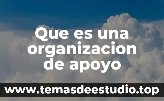 Que es la organizacion cepal 3 Que es una organizacion de apoyo